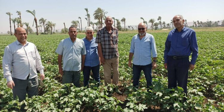 زراعة أسيوط