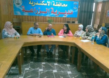 زراعة الإسكندرية