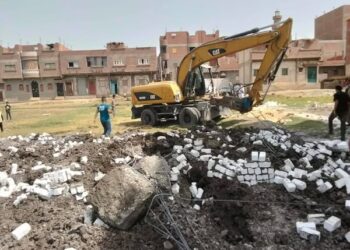 زراعة أسيوط