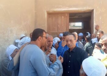 زراعة بني سويف