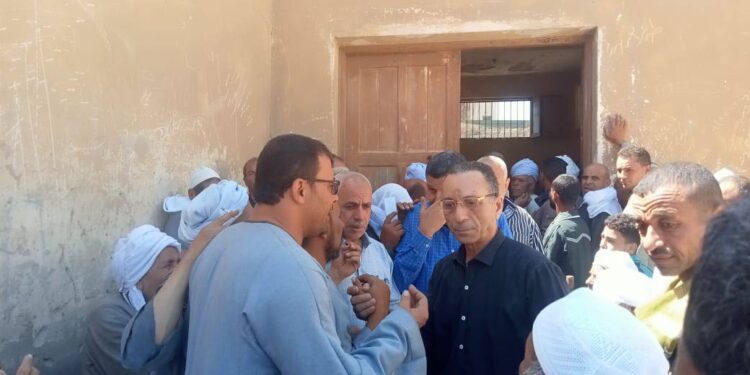 زراعة بني سويف