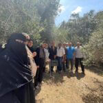 «زراعة الإسماعيلية» تنظم يوم حقلي للتوعية بمخاطر سوسة النخيل الحمراء ..وفرق إرشادية للمانجو الزيتون 12 زراعة الإسماعيلية
