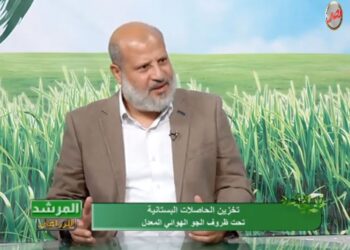 الجو الهوائي