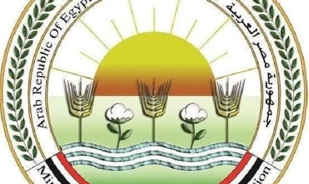 وزير الزراعة يوجه بمتابعة المجازر وتوعية المواطنين وتذليل العقبات 1 المجازر