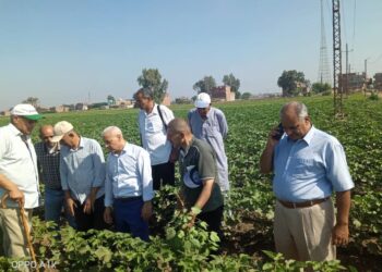 زراعة الشرقية