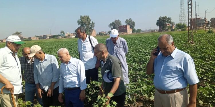 زراعة الشرقية