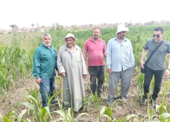 زراعة الدقهلية