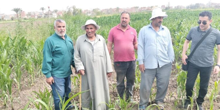 7 فرق إرشادية لمحاصيل البطاطس والأرز والبصل و الخضر بـ« زراعة الدقهلية » 1 زراعة الدقهلية