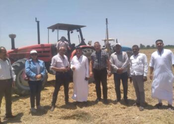 زراعة الإسكندرية