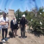 زراعة الإسكندرية 