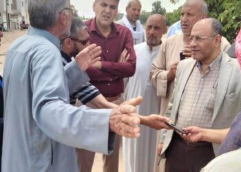 زراعة البحيرة