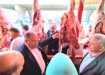 زراعة البحيرة