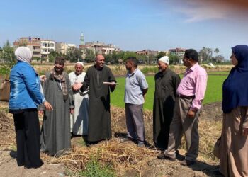 ” الزراعة” تعلن أبرز أنشطة وجهود “بحوث الإرشاد الزراعي” خلال مايو