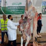 الزراعة 