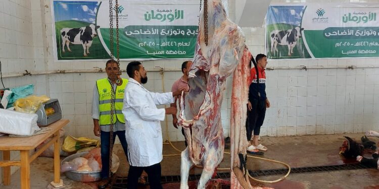 «الزراعة » :المجازر الحكومية تستقبل أكثر من 9800 أضحية خلال أول أيام العيد 1 الزراعة