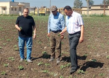 البحوث الزراعية