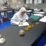الصحة الحيوانية 