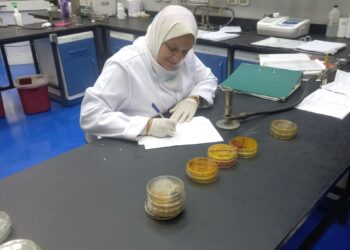 الصحة الحيوانية