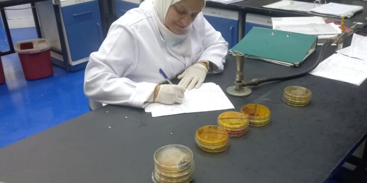 « الصحة الحيوانية » يفحص 750 ألف عينة دواجن وأسماك وطيور حية خلال إجازة عيد الأضحى 1 الصحة الحيوانية