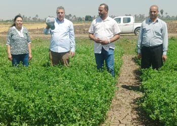 أمراض النباتات