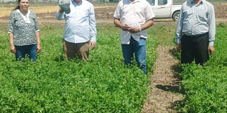 مدير معهد أمراض النباتات يزور محطة سدس لمتابعة البرامج البحثية المختلفة 1 أمراض النباتات