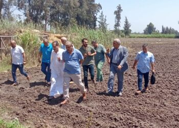 مدير الإصلاح الزراعي يتفقد أعمال وأنشطة الهيئة والجمعيات بمحافظة الدقهلية في اليوم الثالث للعيد 1 الإصلاح الزراعي