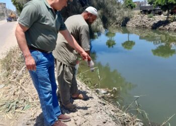 زراعة البحيرة