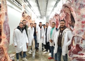 التأمين على الماشية