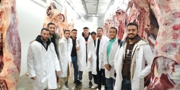 التأمين على الماشية