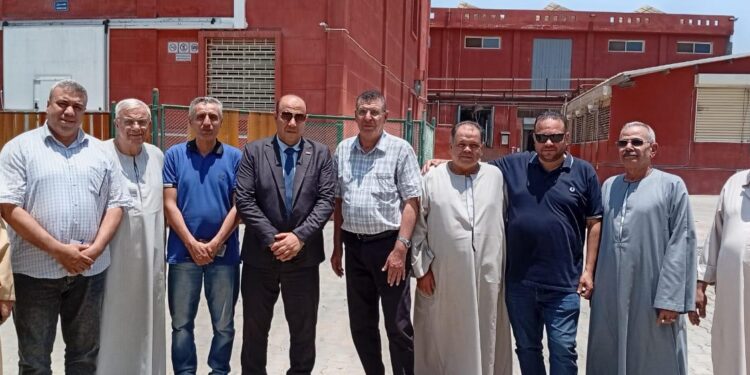 بتدخل مباشر من وزير الزراعة ..بدء توريد محصول الياسمين لمصانع « شبر بلونة » 1 بتدخل مباشر من وزير الزراعة ..بدء توريد محصول الياسمين لمصانع « شبر بلونة »