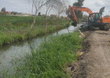 “استصلاح الأراضي” يزيل 71 حالة تعدي وينفذ 10 أنشطة إرشادية خلال النصف الأول من الشهر الجاري