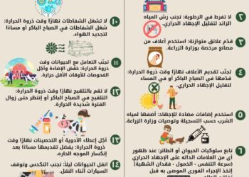 “معاك في الغيط” تنشر 15 نصيحة لتخفيف تأثير الحرارة وتجنب الإجهادات الحرارية على الدواجن