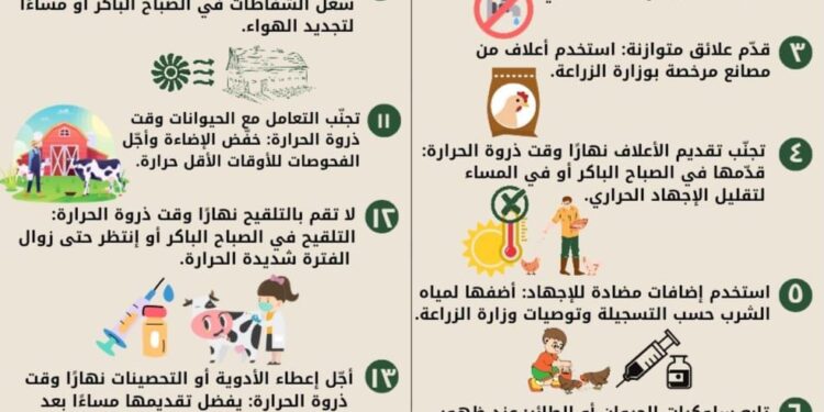 "معاك في الغيط" تنشر 15 نصيحة لتخفيف تأثير الحرارة وتجنب الإجهادات الحرارية على الدواجن 1 “معاك في الغيط” تنشر 15 نصيحة لتخفيف تأثير الحرارة وتجنب الإجهادات الحرارية على الدواجن