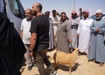 “بحوث الصحراء” يطلق قافلة بيطرية مجانية لخدمة المربين بقرى السلوم وسيدي براني في مطروح