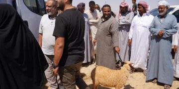 "بحوث الصحراء" يطلق قافلة بيطرية مجانية لخدمة المربين بقرى السلوم وسيدي براني في مطروح 5 “بحوث الصحراء” يطلق قافلة بيطرية مجانية لخدمة المربين بقرى السلوم وسيدي براني في مطروح