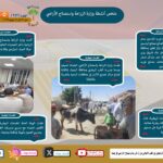 "الزراعة في أسبوع" نشرة الحصاد رقم 252 لأنشطة الوزارة في الفترة من 13 وحتى 19 يونيو الجاري 9 IMG 20250620 WA0028