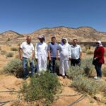 بحوث الصحراء 
