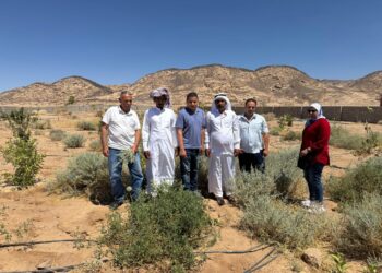 بحوث الصحراء