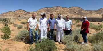 «بحوث الصحراء» يطلق المرحلة الثانية من مشروع التنمية الزراعية بجنوب سيناء 4 بحوث الصحراء