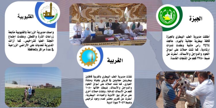 أنشطة مديريات الزراعة والطب البيطري خلال الفترة من 17 إلى 23 يونيو الجاري 1 الزراعة