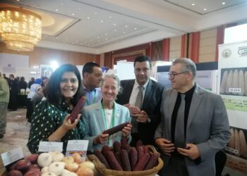 البحوث الزراعية