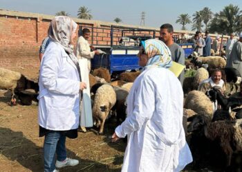 “الزراعة” تواصل حملات التقصي ومتابعة الحالة الصحية للخيول وأسواق الماشية