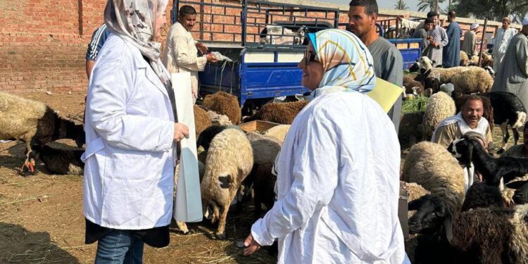 "الزراعة" تواصل حملات التقصي ومتابعة الحالة الصحية للخيول وأسواق الماشية 1 “الزراعة” تواصل حملات التقصي ومتابعة الحالة الصحية للخيول وأسواق الماشية