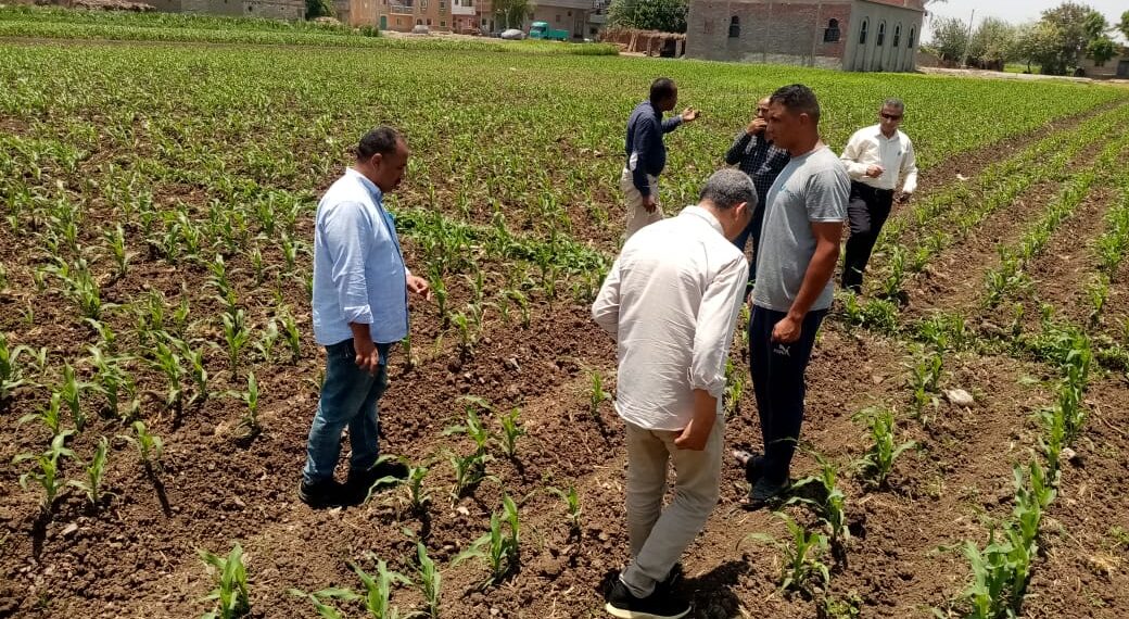 “الزراعة” تتفقد المراكز الإرشادية ببنى سويف وتتابع الأنشطة الإرشادية ببعض قرى المحافظة