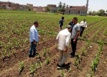 “الزراعة” تتفقد المراكز الإرشادية ببنى سويف وتتابع الأنشطة الإرشادية ببعض قرى المحافظة