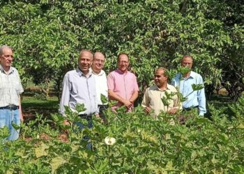 بحوث البساتين