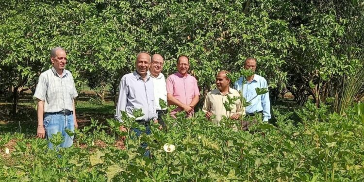 بحوث البساتين