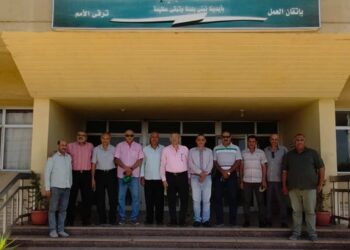 المحاصيل الحقلية