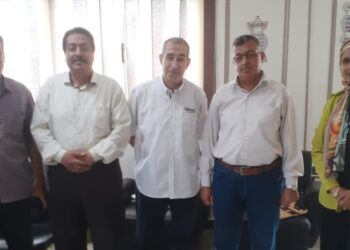 « زراعة بورسعيد » تعتمد نتائج الحقول الإرشادية لمحصول القمح