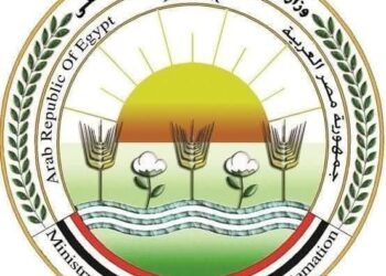 خامات الأعلاف